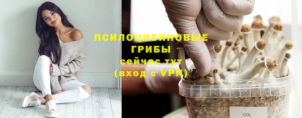 дмт Алексин