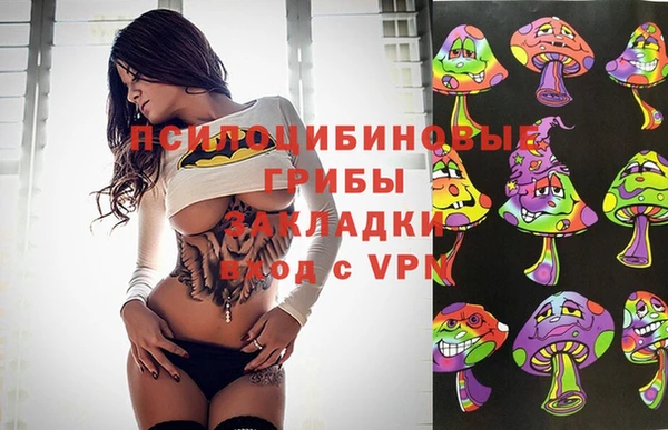 дмт Алексин