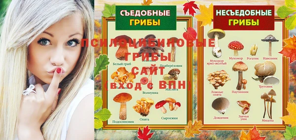 хмурый Алзамай