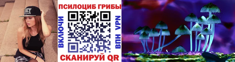 Галлюциногенные грибы Psilocybine cubensis как найти закладки Кимры