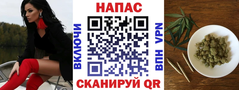 Шишки марихуана SATIVA & INDICA  мориарти клад  Кимры 